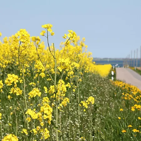 Comfortable Near Insel Poel Groß Strömkendorf
