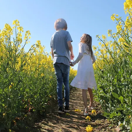 Apartment Comfortable Near Insel Poel *