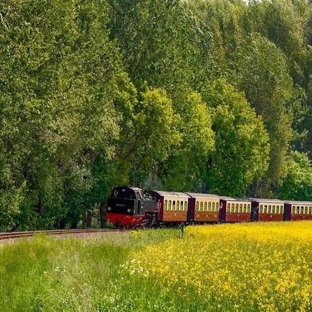 Comfortable Near Insel Poel 아파트