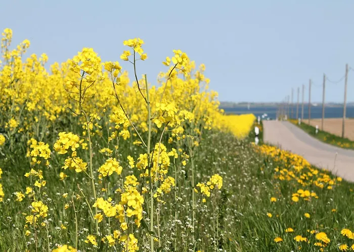 Comfortable Near Insel Poel Groß Strömkendorf